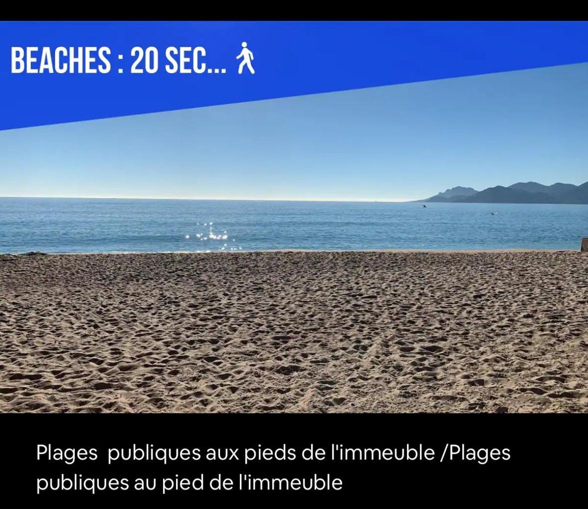 Appartement Impeccable 2 Pièces Avec Balcons à 50m De La